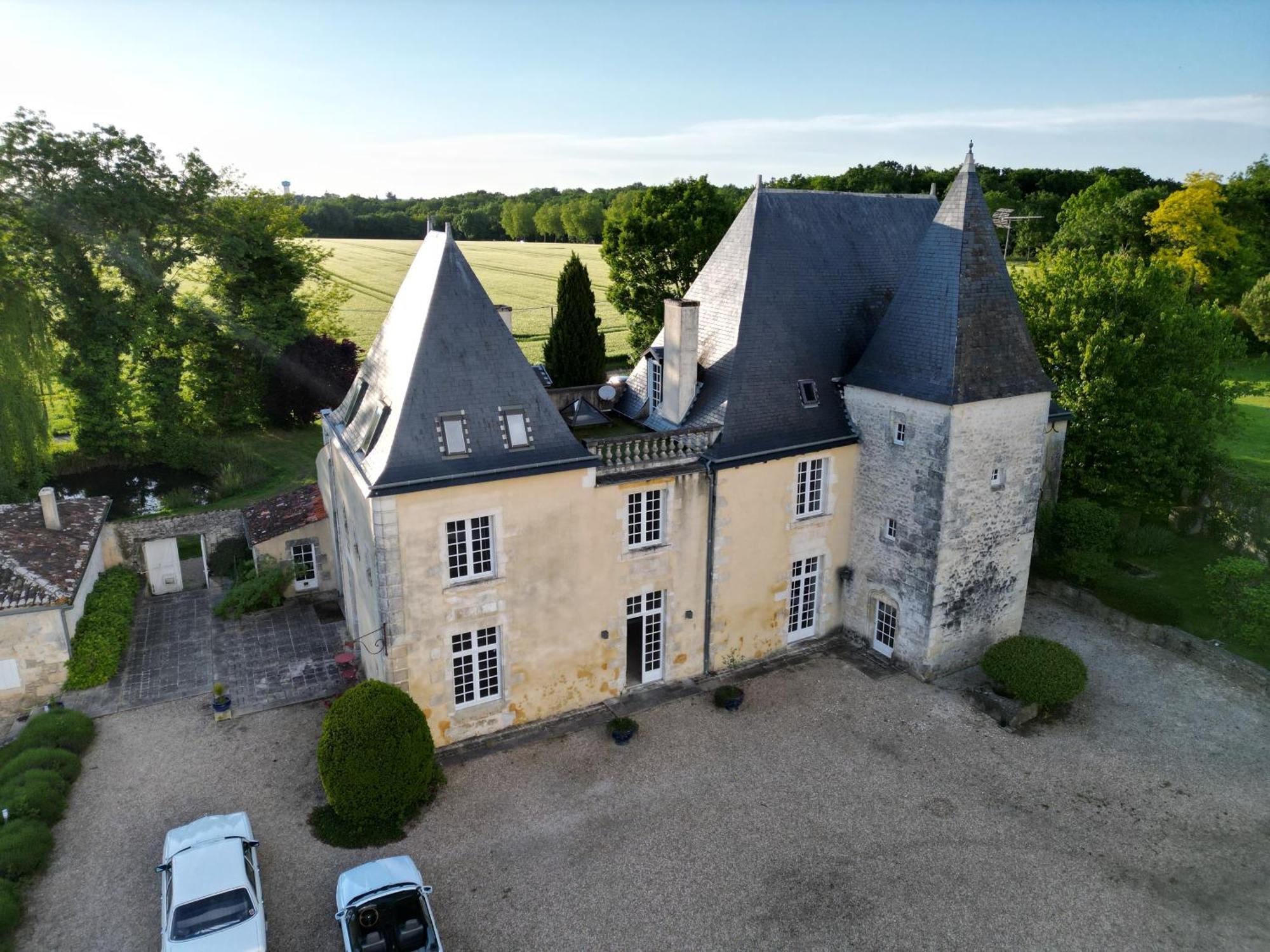Chateau De La Vallade Saint-Porchaire Exteriör bild